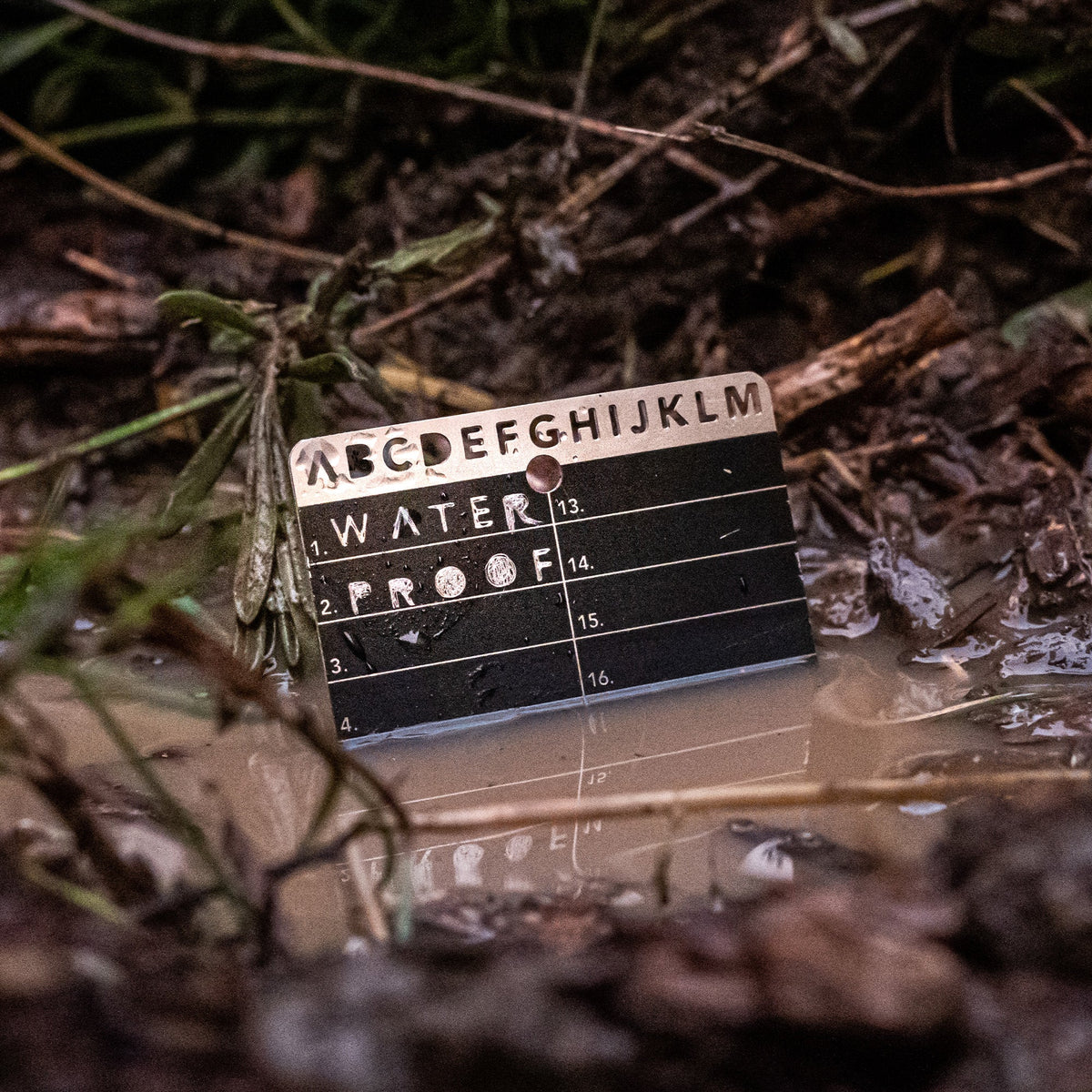Crypto Seed Bank card photographed submerged in muddy water.